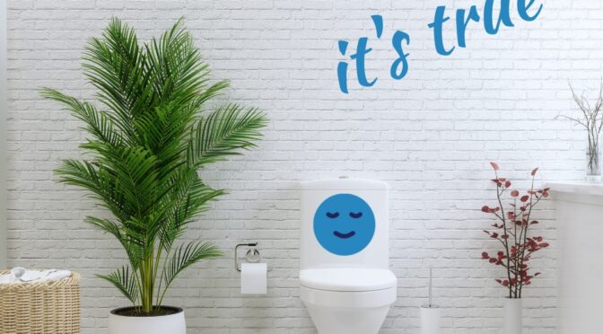 Meditate in the bathroom