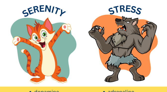 What hormones are flowing through your body?